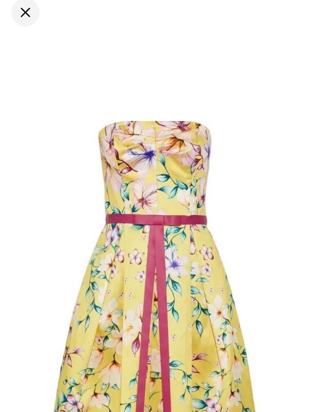 Marchesa Yellow Floral Dress With Pink Trim (Updated)